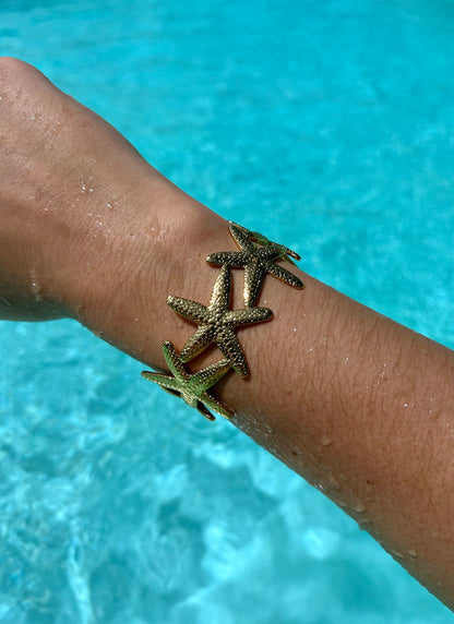 Jonc étoile de mer